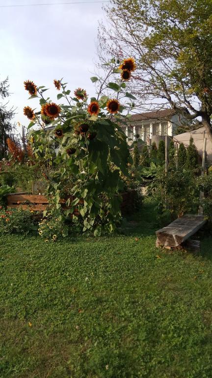 Rose-Marie'S Paradies Appartement Aesch Buitenkant foto