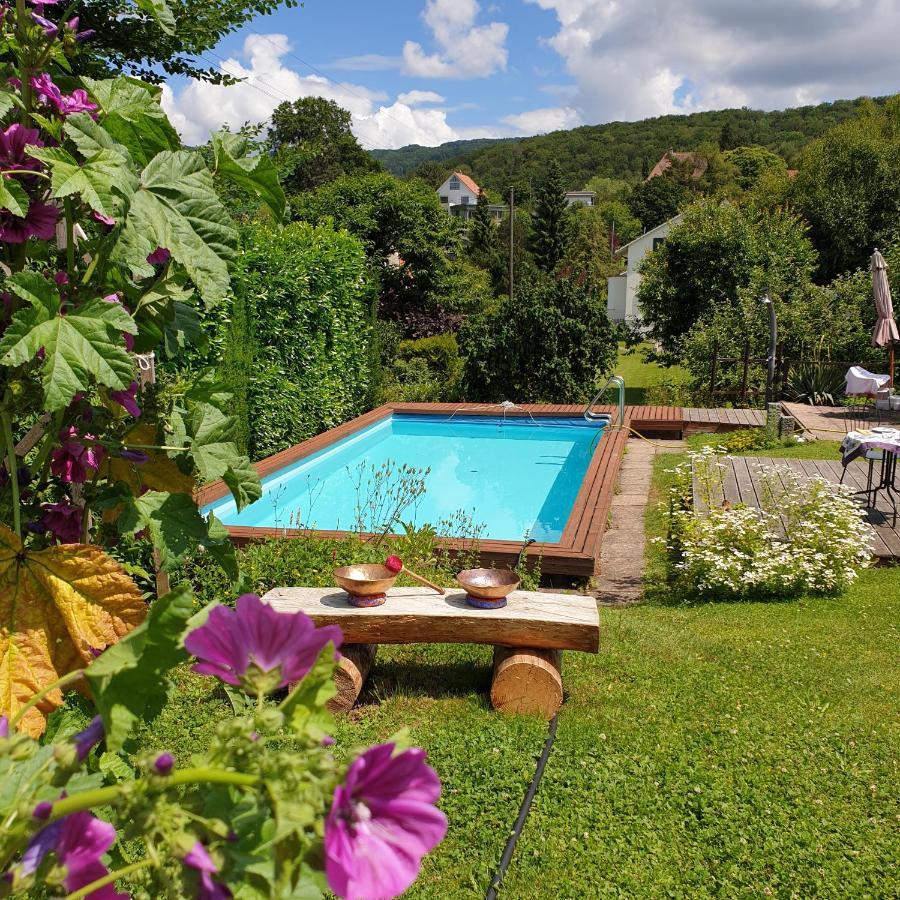 Rose-Marie'S Paradies Appartement Aesch Buitenkant foto